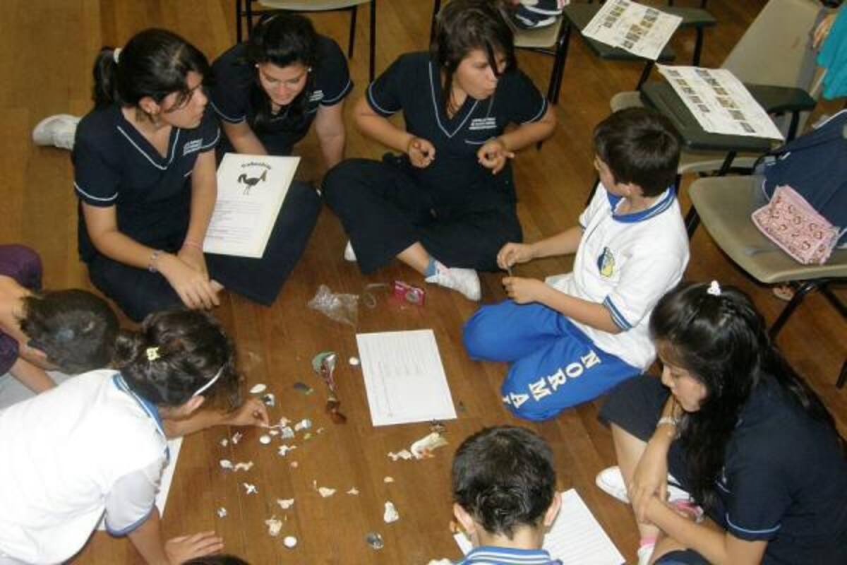 Incluir a niños en situación de discapacidad en los mismos salones con quienes no padecen limitaciones es lo que se está haciendo en varias instituciones educativas de la ciudad.