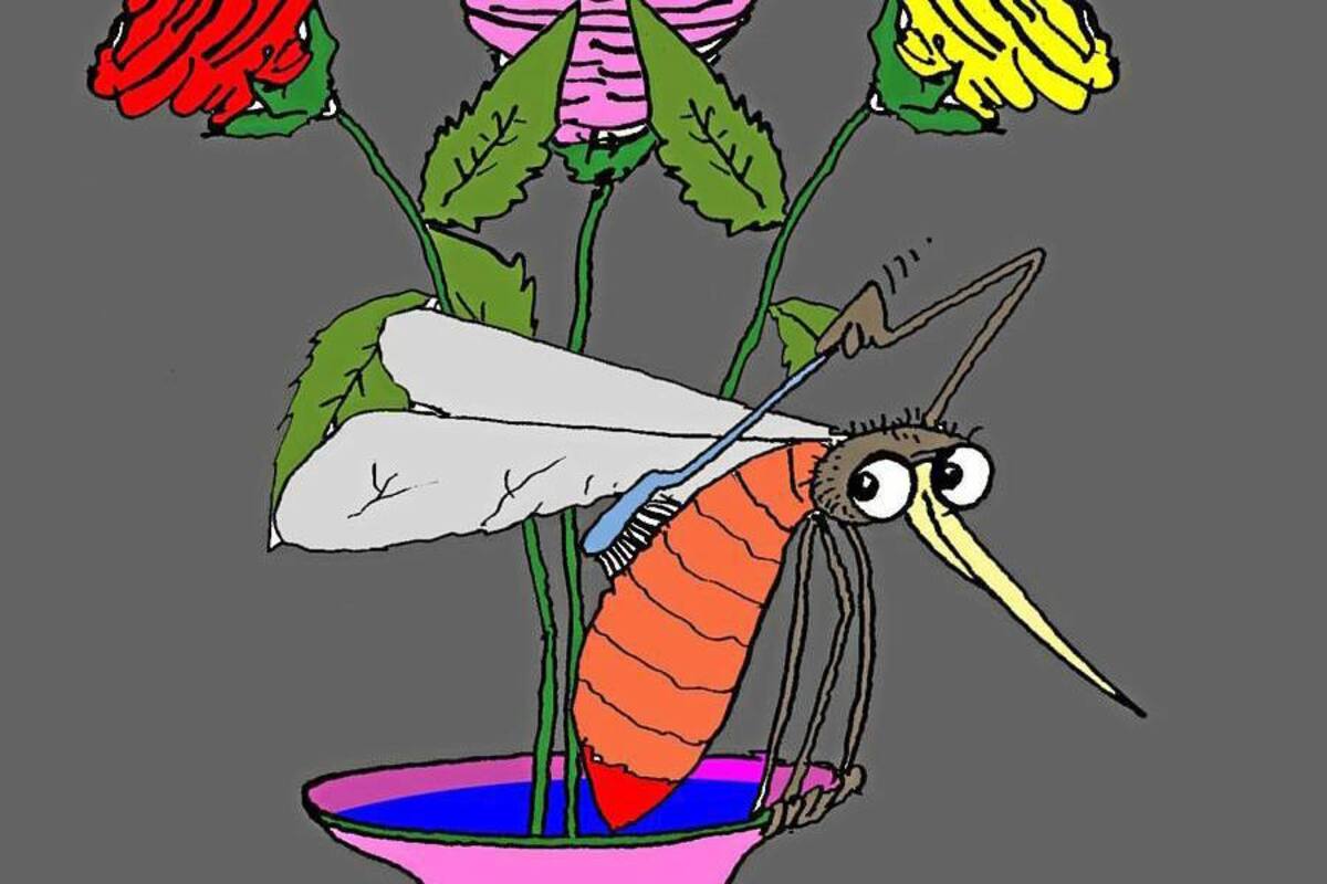 Presencia del Aedes Aegypti es mayor en cuatro comunas