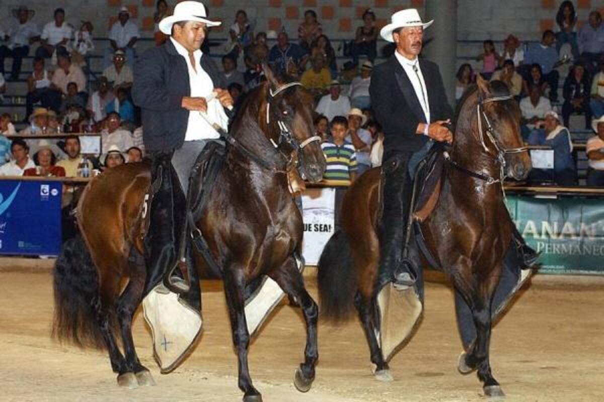En el pabellón B de Cenfer, se montó la pista equina. Tiene capacidad para más de 2 mil espectadores.(Foto: Archivo/VANGUARDIA LIBERAL)
