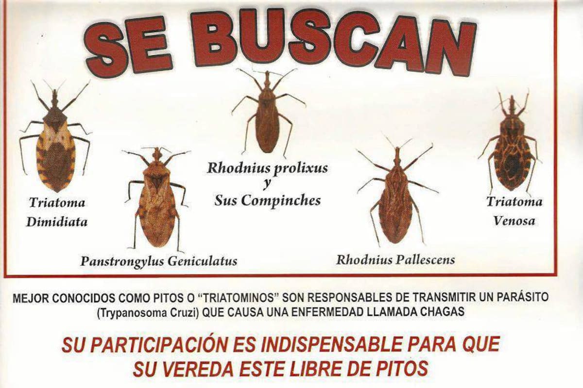 La Secretaría de Salud entrega información sobre la enfermedad del chagas con el fin de que la comunidad conozca las consecuencias y adopte las medidas preventivas. (Foto: Suministrada/VANGUARDIA LIBERAL)