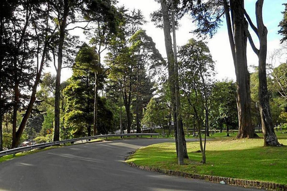 En la calle 39 con Avenida Circunvalar, en el Parque Nacional de Bogotá, fue hallada Rosa Elvira Cely. (Foto: Archivo/VANGUARDIA LIBERAL)