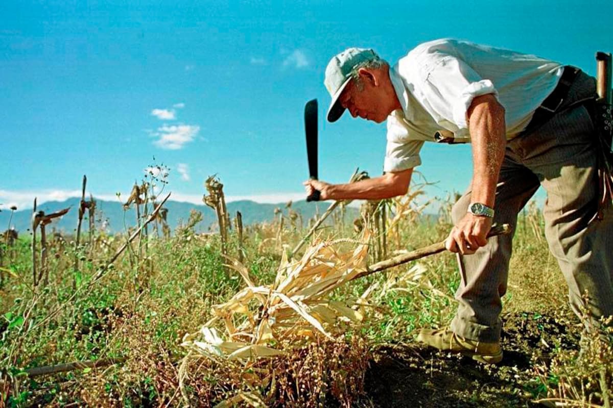 Umata visitará 5 mil predios rurales para detallar censo