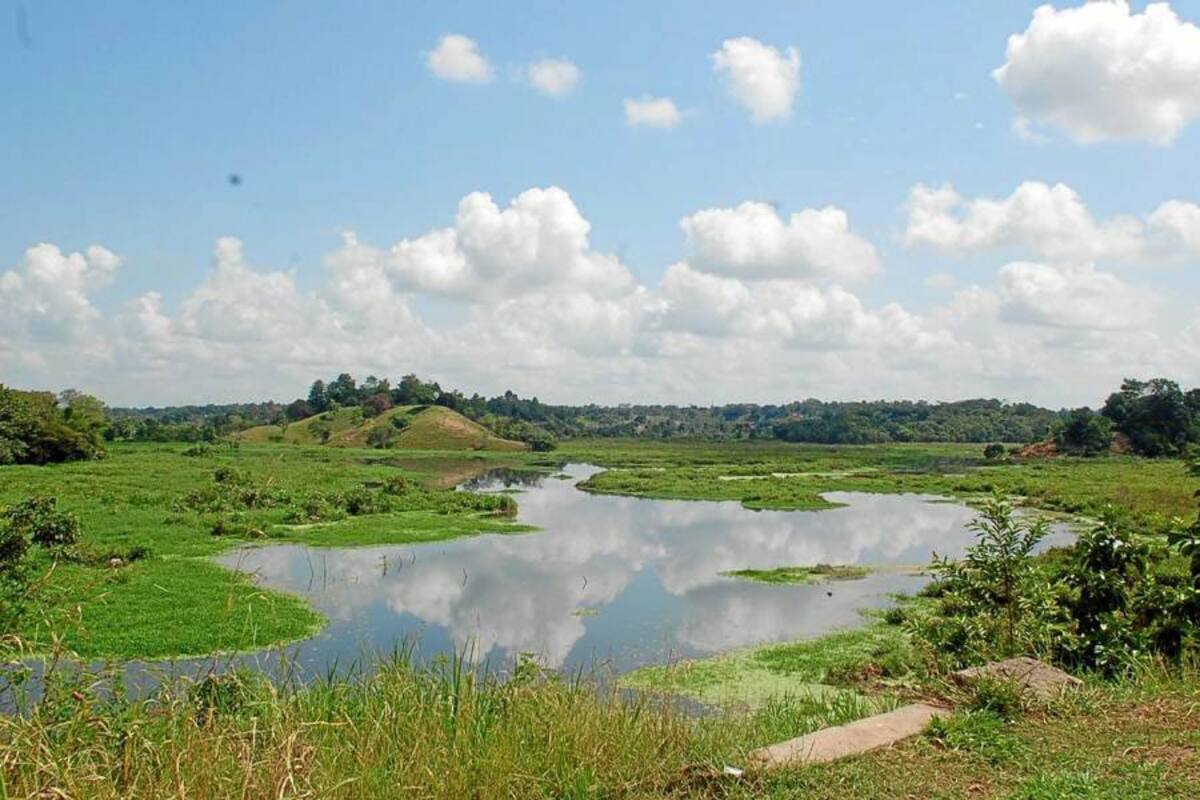 Los municipios que recibirán atención personalizada de la CAS serán Carmen de Chucurí, Cimitarra, Puerto Parra, Puerto Wilches, Sabana de Torres y Barrancabermeja. (Foto: Archivo/VANGUARDIA LIBERAL )