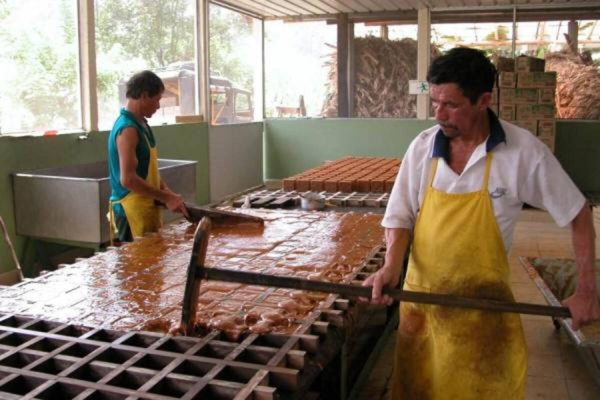 El proyecto beneficiará a 600 productores directamente (40 productores por asociación).(Foto: Suministrada/VANGUARDIA LIBERAL)