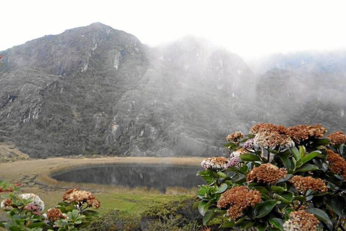 En la actualidad el Consejo Directivo de la Cdmb también evalúa la declaración de un Parque Regional Natural en Santurbán. (Foto: Archivo/VANGUARDIA LIBERAL )