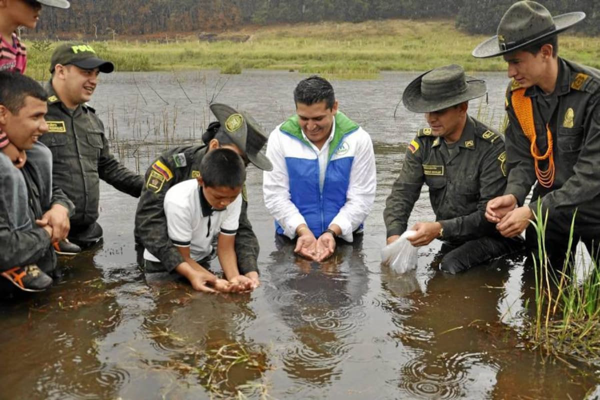 El humedal de El Pantano abarca cerca de 10 hectáreas y abastece a la laguna La Angula que es la que suministra el agua para el acueducto de Lebrija y para algunas zonas rurales de Girón. (Foto: Suministrada/VANGUARDIA LIBERAL )