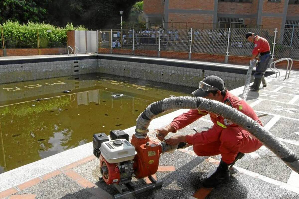 Encuentran guarasapos en piscina de colegio florideño (Foto: Sully Catherine Santos H./VANGUARDIA LIBERAL)