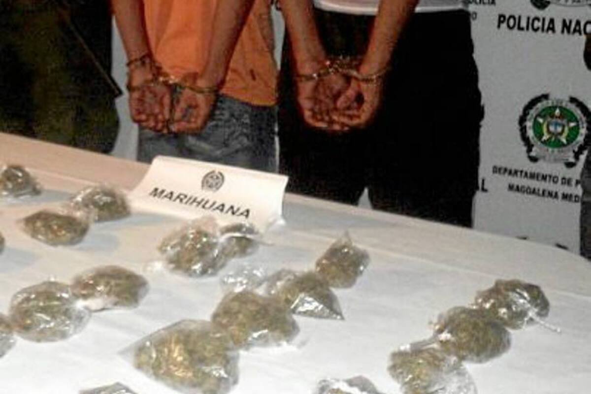 Caen 3,5 toneladas de marihuana en Antioquia y Valle del Cauca (Foto: Archivo/VANGUARDIA LIBERAL )