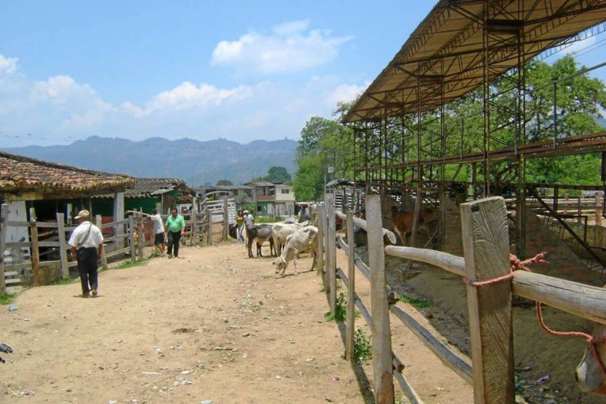 Aún sin definir están las obras del nuevo coliseo de ferias de Piedecuesta, el macro proyecto permitirá al Municipio proyectarse para organizar allí las ferias y actividades parecidas a las que se hacen en Cenfer, ubicado en la vía a Girón. (Foto: Archivo/VANGUARDIA LIBERAL )