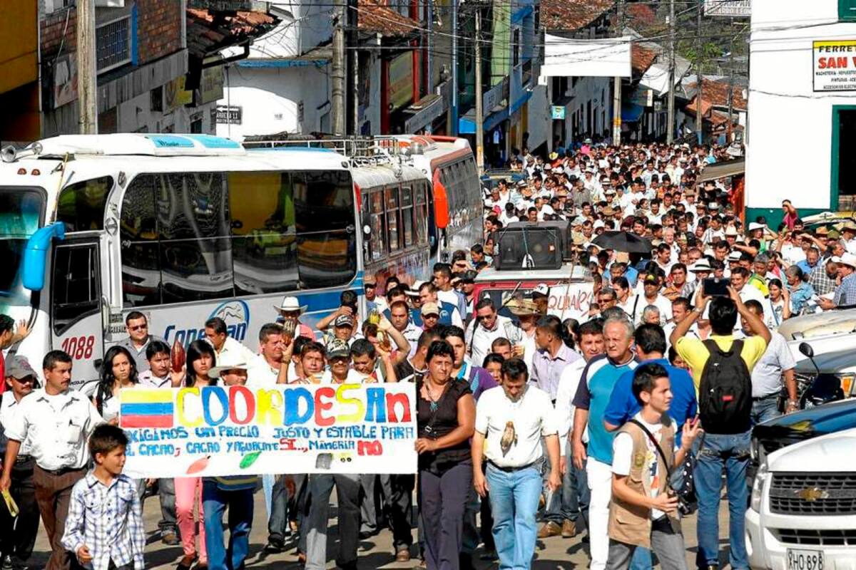 Unos 5.000 productores de cacao de San Vicente de Chucurí y su área de influencia marcharon para exigir alza en el índice de precios. En el último trimestre cayeron más del 40%. (Foto: Edgar Pernett/VANGUARDIA LIBERAL)