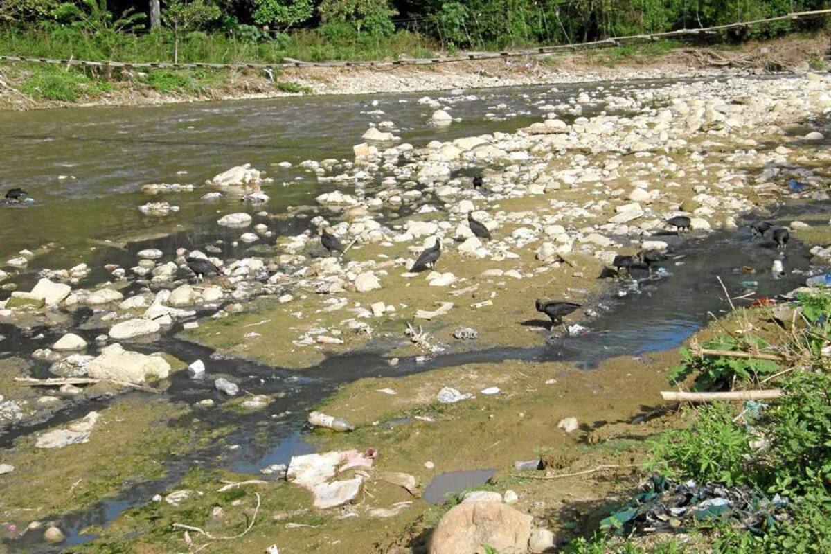Según la propia Cdmb, el Río de Oro es uno de los afluentes más contaminados de Colombia. Por eso, la autoridad ambiental emprendió varios operativos de control y de saneamiento en dicha fuente hídrica. (Foto: /VANGUARDIA LIBERAL)