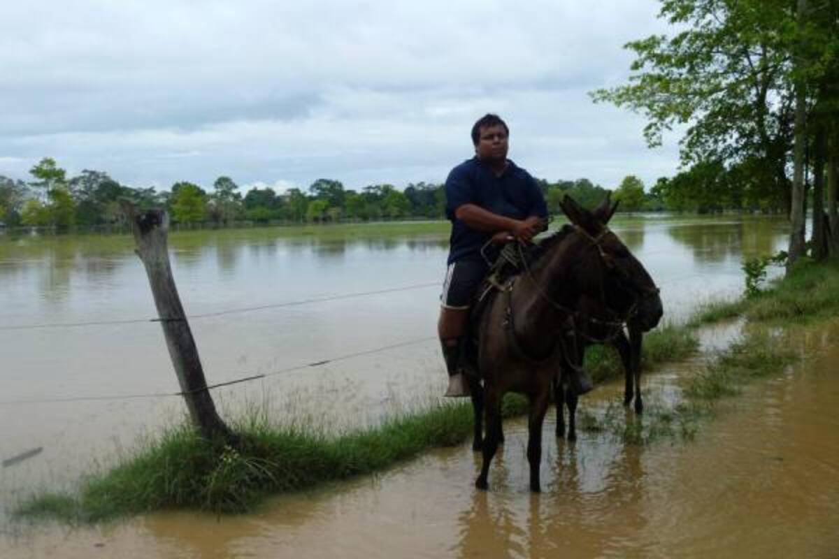 Para la SAC se deben reforzar diques y drenajes de los río Cauca, Magdalena y Lebrija para evitar futuras inundaciones.(Foto: Archivo/VANGUARDIA LIBERAL)