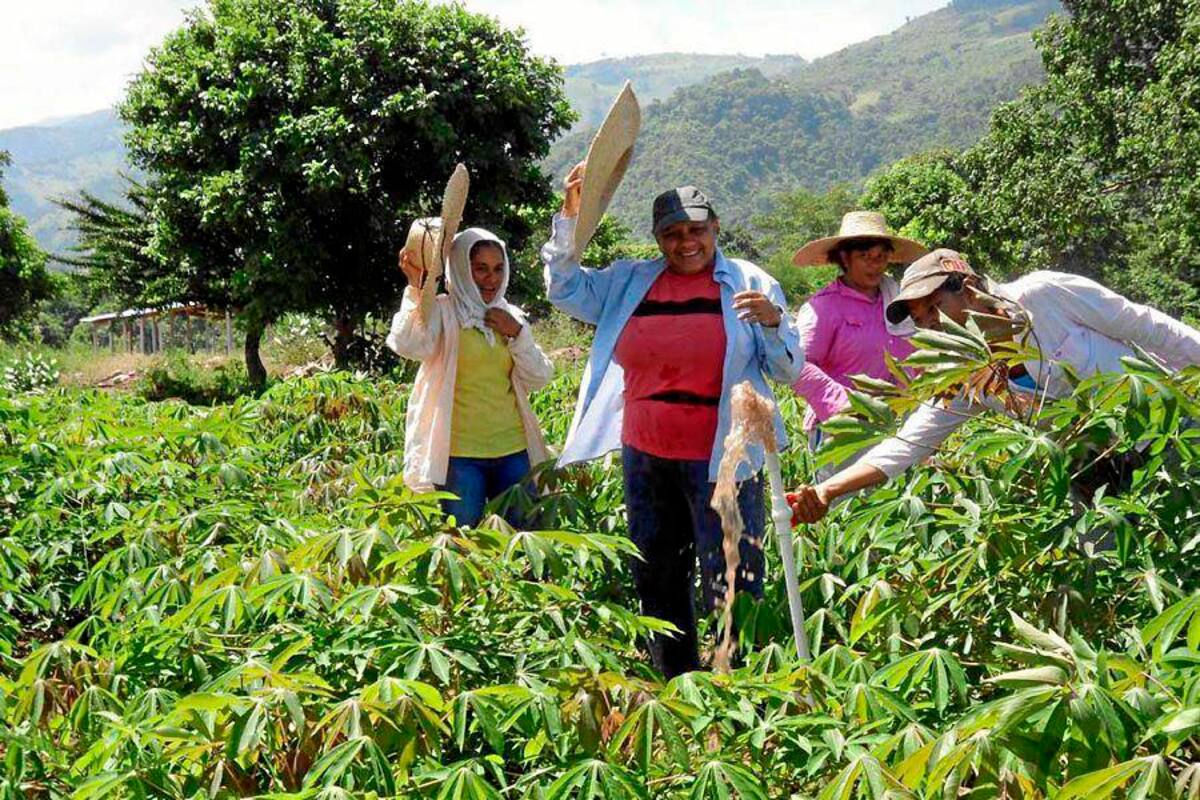 Escepticismo del agro por reducción de tasas