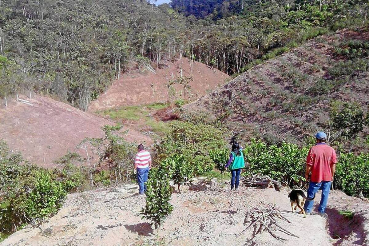 Cdmb confirmó “grave daño ambiental” cerca de Palonegro (Foto: Suministrada /VANGUARDIA LIBERAL)