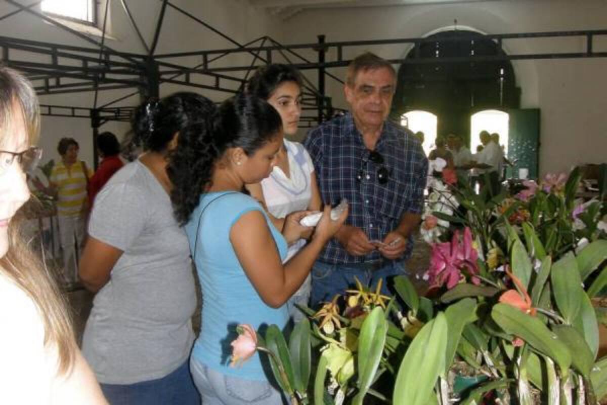 Orlando Rincón presidente de la Asociación de Orquideólogos de Santander, Orquisander.(Foto: Archivo/VANGUARDIA LIBERAL )