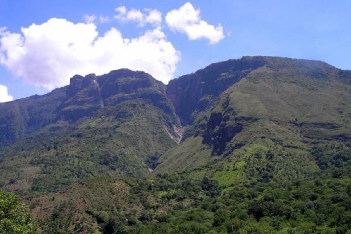En la reforestación participan 300 personas de las áreas rurales de El Carmen de Chucurí y San Vicente de Chucurí. (Foto: Archivo/VANGUARDIA LIBERAL)