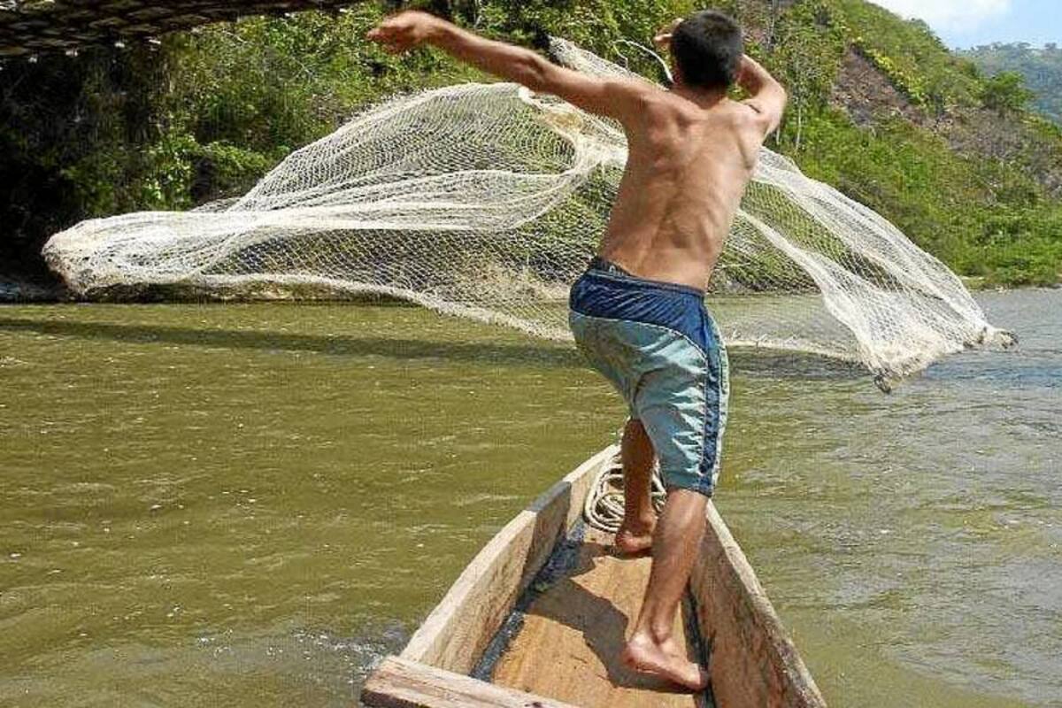 Labriegos denuncian presencia de grupo armado en la Ciénaga del Opón