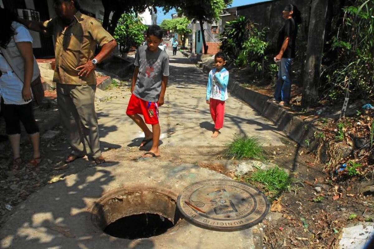 Manjoles del barrio Las Camelias están al límite
