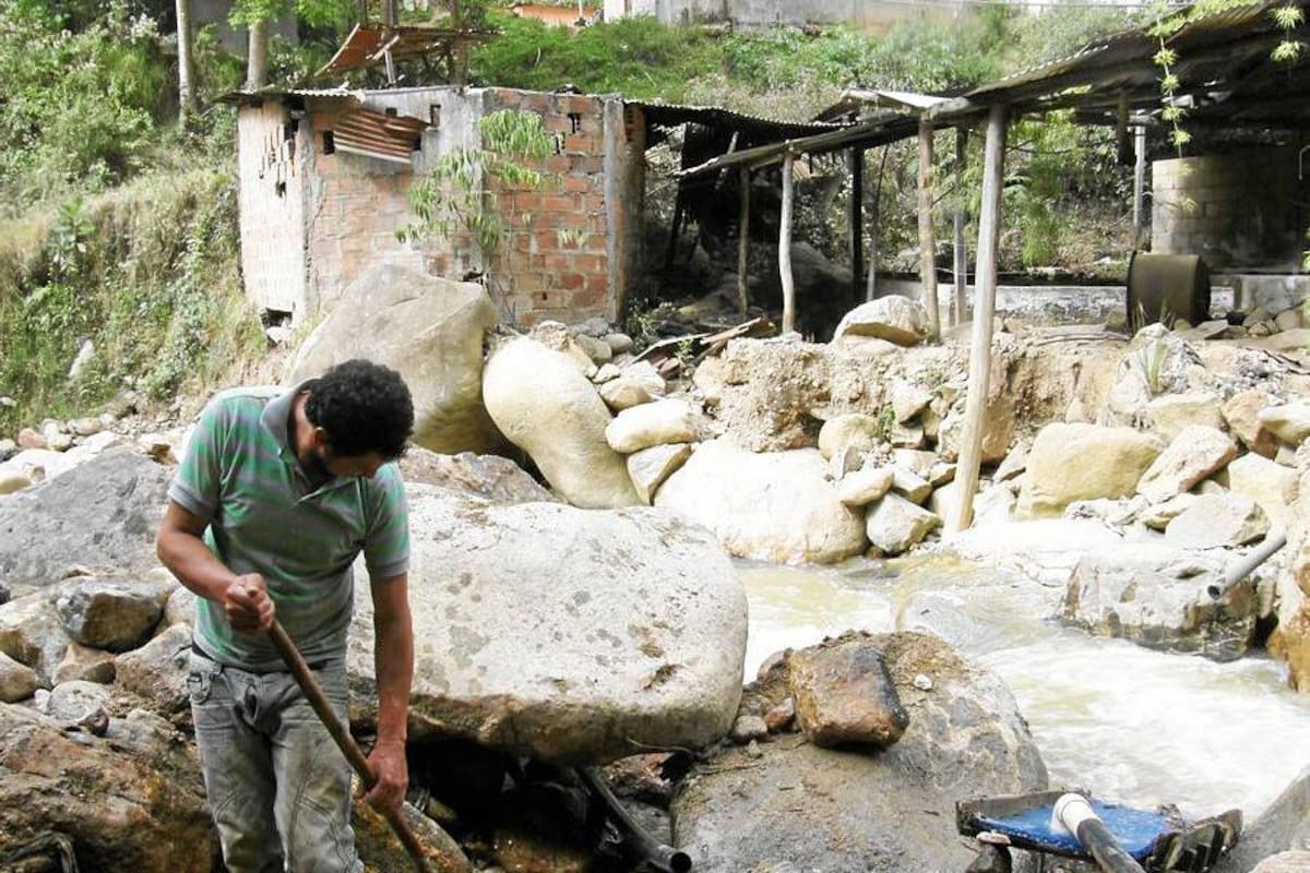 Algunas de las personas que se quedan sin empleo están acudiendo al río a extraer oro mediante la técnica del barequeo. (Foto: Nohora Celedón / VANGUARDIA LIBERAL)