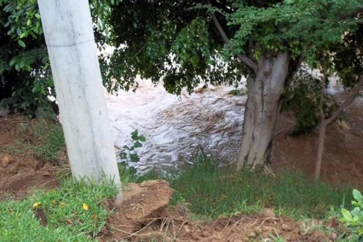 Las lluvias ocasionaron la caída de un árbol en Portal Campestre. (Foto: Archivo / VANGUARDIA LIBERAL )