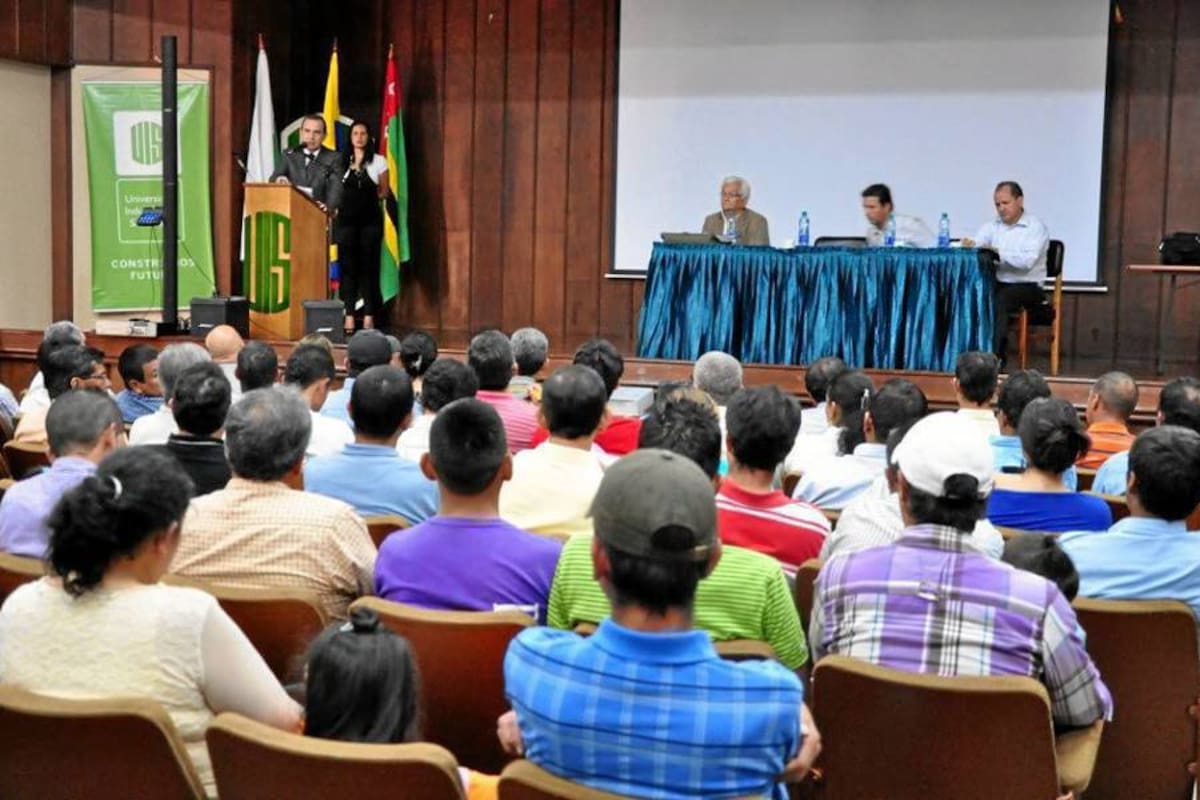 El sector morero de Piedecuesta busca tecnificarse y volver a recuperar su comercio (Foto: Suministrada/ VANGUARDIA LIBERAL )