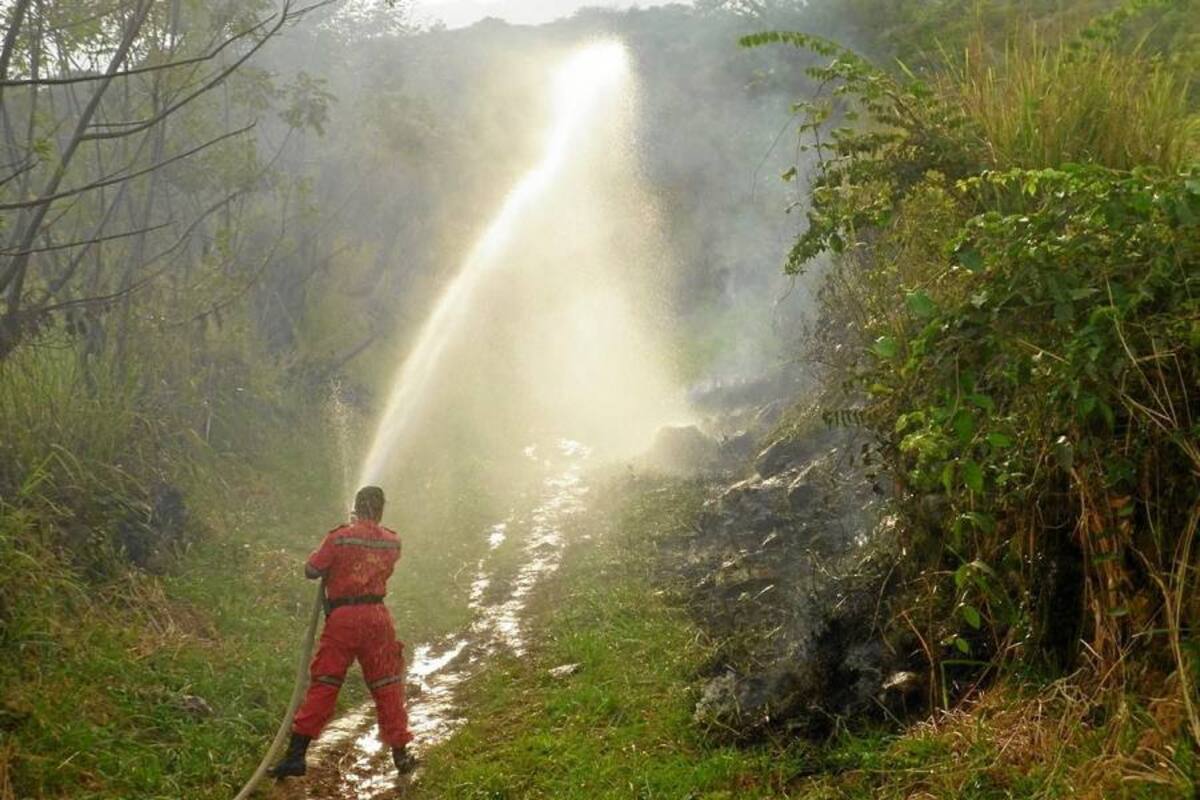 Una de las medidas para la atención de incendios forestales es la conformación del cuerpo de bomberos en todos los municipios o la firma de convenios con municipios vecinos para atender emergencias. (Foto: Suministrada /VANGUARDIA LIBERAL)