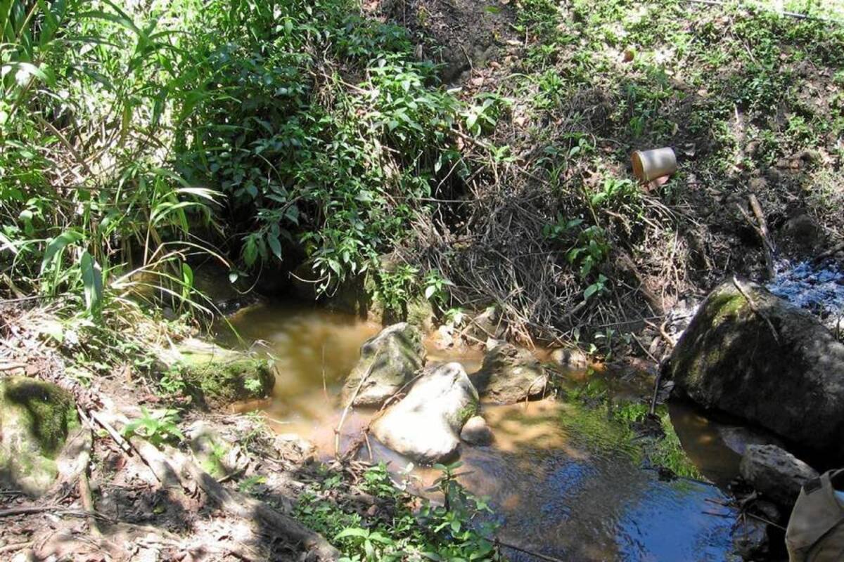 Aspectos de un terreno aledaño al Embalse Aguilitas del Socorro, donde se cultiva café, en el cual no se está haciendo un tratamiento adecuado a las cáscaras derivadas del despulpe, las cuales caen en fuentes hídricas y generan hedores en el sector. (Foto: Suministrada /VANGUARDIA LIBERAL )