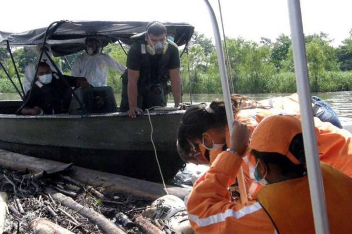 Con el apoyo de miembros de la Defensa Civil, Policía Nacional y de la Armada Nacional, fue recuperado el cadáver que estaba atrapado entre varios troncos, sobre el río Magdalena. El hallazgo se produjo a pocos metros del caño Cardales.(Foto: Édgar Pernett/VANGUARDIA LIBERAL )