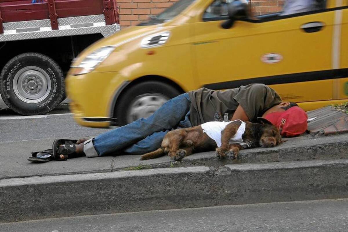 Bucaramanga sigue siendo un ‘hogar de paso’ de indigentes (Foto: Nelson Díaz / VANGUARDIA LIBERAL)