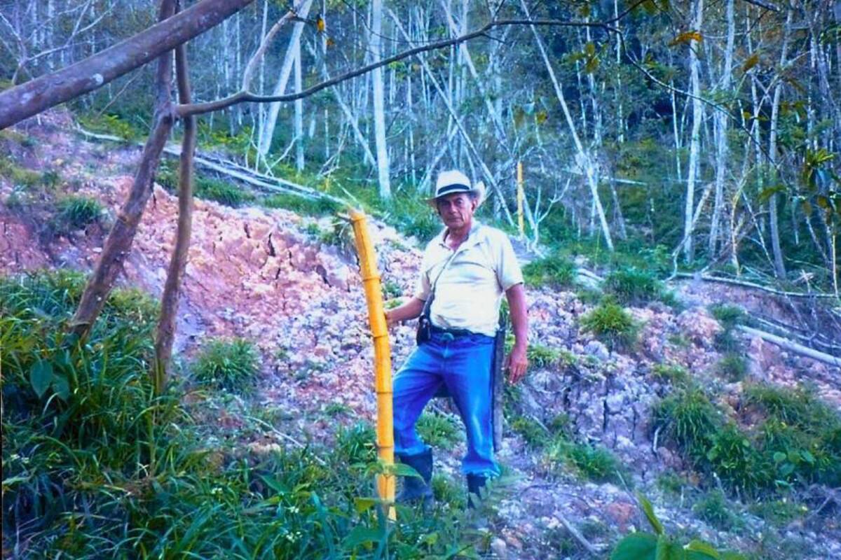 La ola invernal destruyó la parcela de Hernando Pérez Jaimes, ubicada en la vereda Líbano, de Lebrija. (Foto: Suministrada/VANGUARDIA LIBERAL)