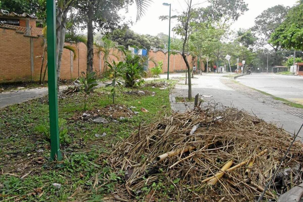 Dejaron tirada la basura de la poda en el Parque Lineal (Foto: Sully Catherine Santos H./VANGUARDIA LIBERAL)