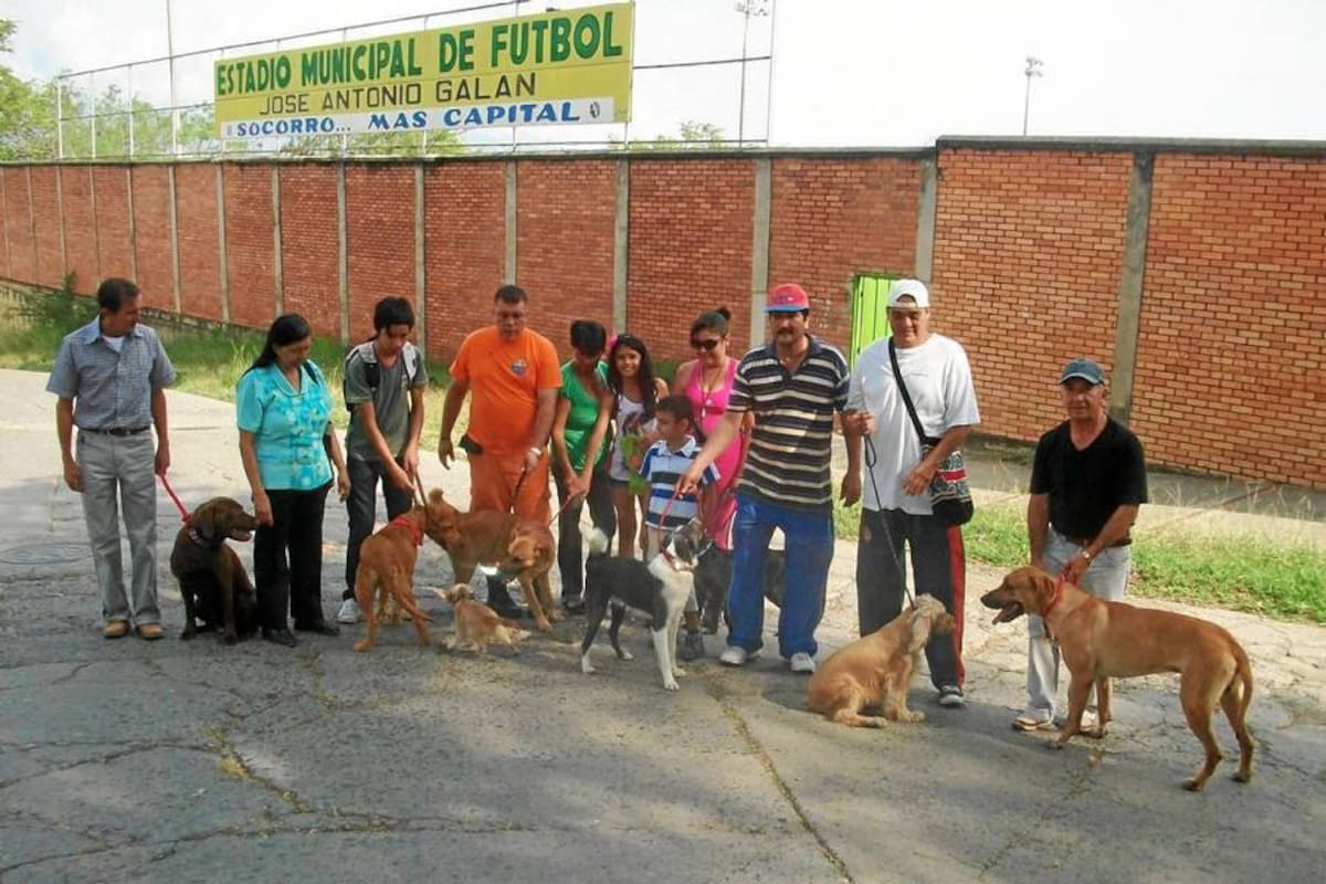 Con 12 “alumnos” se inició la escuela de adiestramiento canino de la Defensa Civil en el Socorro, los propietarios de las mascotas tendrán que acudir cada 8 días a recibir las respectivas instrucciones para adiestrar los canes. (Foto: Suministrada/VANGUARDIA LIBERAL)
