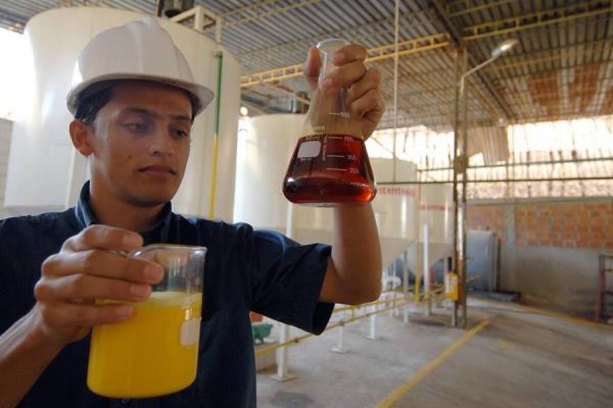 En las extractoras hay altas cantidades de fruto de palma para procesar como aceite.(Foto: Archivo/VANGUARDIA LIBERAL )