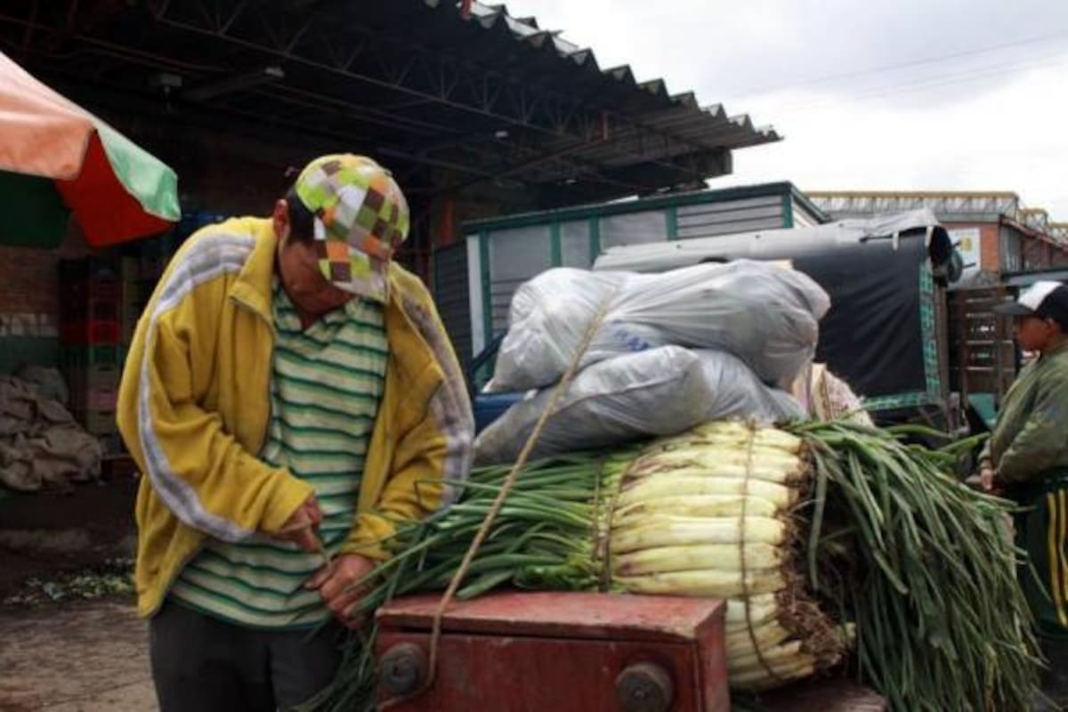 Los efectos de la ola invernal ya comienzan a sentirse en el bolsillo de los bumangueses.(Foto: Archivo/VANGUARDIA LIBERAL)