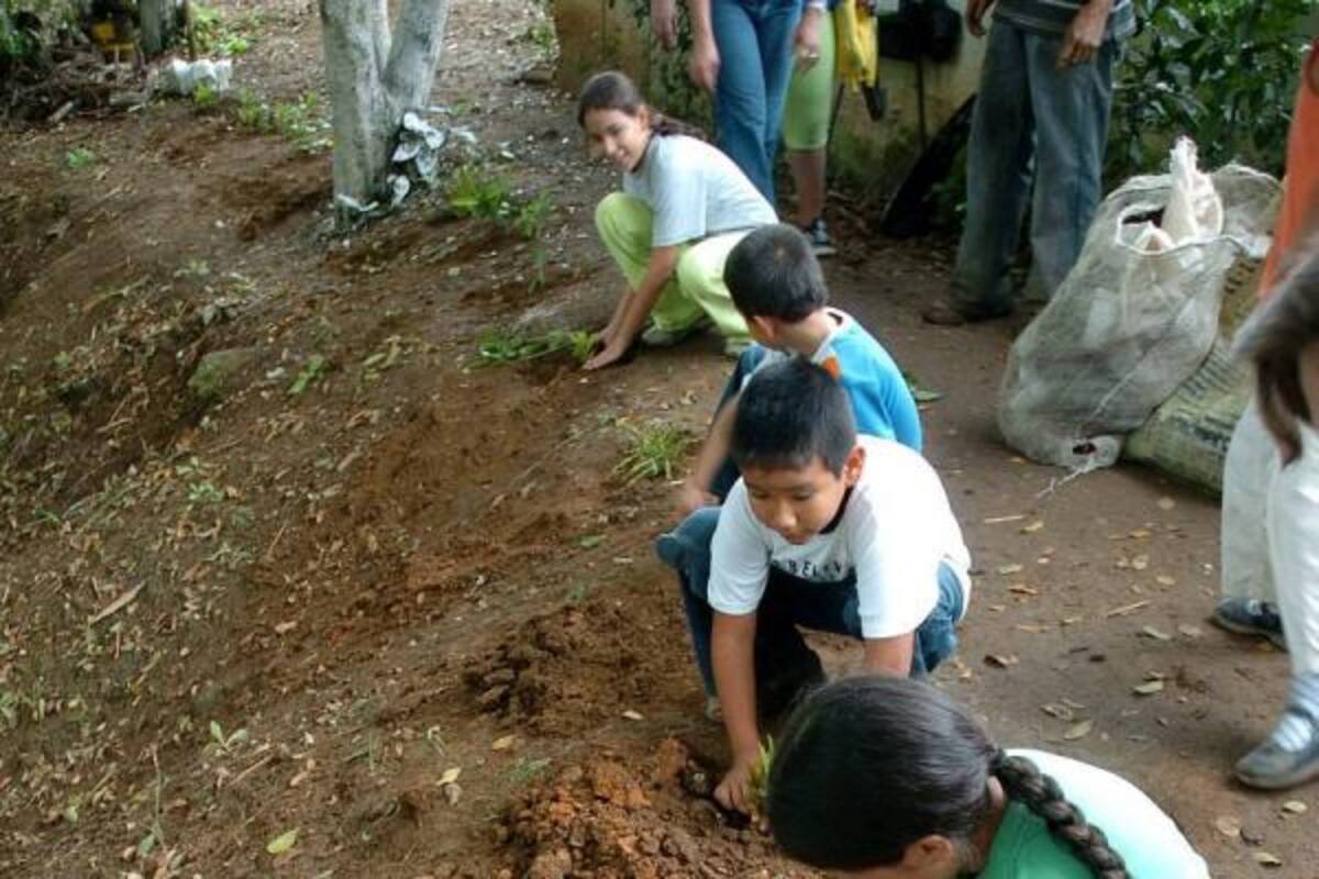 La reforestación es una de las actividades más comunes en cuanto a gestión de manejo ambiental. Pero los empresarios deben también tener en cuenta el manejo de sus residuos.(Foto: Archivo / VANGUARDIA LIBERAL)