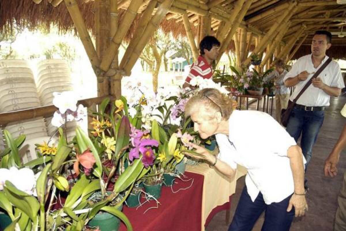 Una variedad de orquídeas y aves exóticas traídas de diferentes partes del mundo, fue la propuesta presentada ayer por Orquisander a la comunidad barranqueña, durante la primera exposición que se realiza en la ciudad, de esta naturaleza.(Foto: Edgar Pernett/VANGUARDIA LIBERAL)