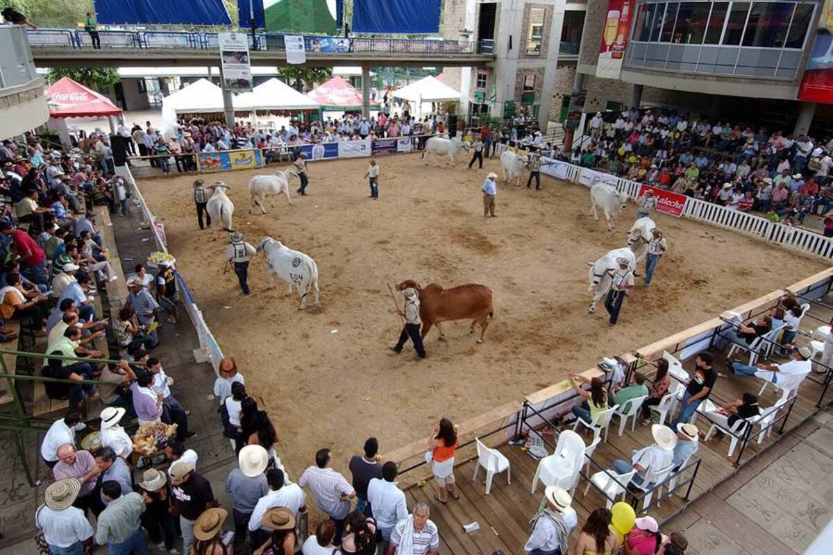 La jornada, que tendrá como sede al Centro de Ferias Exposiciones y Convenciones, Cenfer, abrirá sus puertas el próximo sábado.Será el comienzo de la edición número 62 de este tradicional certamen. (Foto: Archivo / VANGUARDIA LIBERAL)