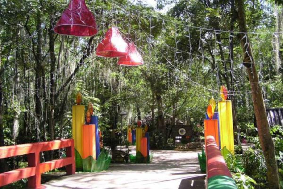 Durante la época navideña habrá incremento de mil pesos en el valor de la entrada al parque, solamente para los turistas.(Foto: Archivo/VANGUARDIA LIBERAL)