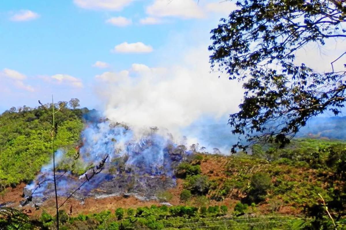 Así quedaron varias hectáreas de bosque de la vereda Alto de Chochos, por un incendio forestal el sábado en la tarde, donde afortunadamente ninguna persona salió lastimada. Hasta las 5:30 de la tarde el Cuerpo de Bomberos debió permanecer en el área para extinguir la última llama que quedaba. (Foto: Suministrada / VANGUARDIA LIBERAL)
