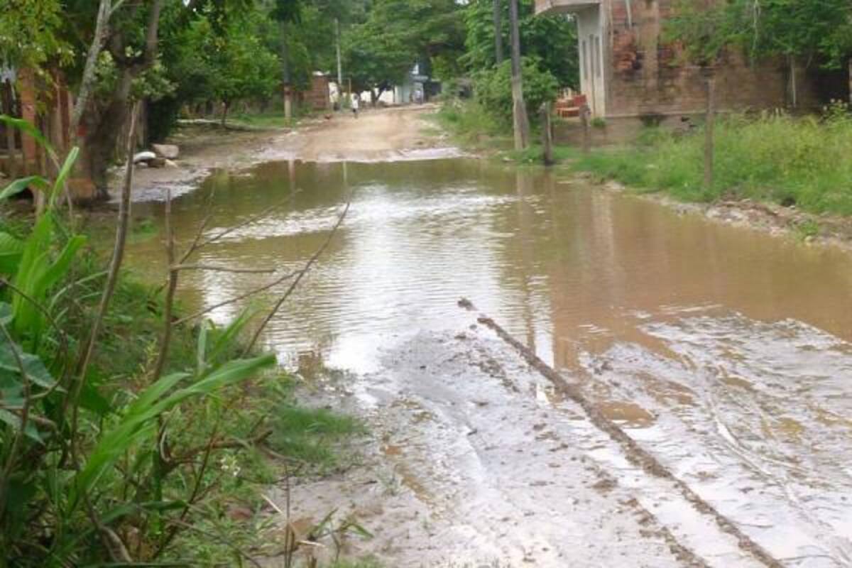 La comunidad de la zona rural de Sabana de Torres solicita ayuda del gobierno para no seguir perdiendo miles de hectáreas de arroz, yuca, ahuyama, entre otras, que se cultivan en esta región.(Foto: Suministrada/VANGUARDIA LIBERAL)