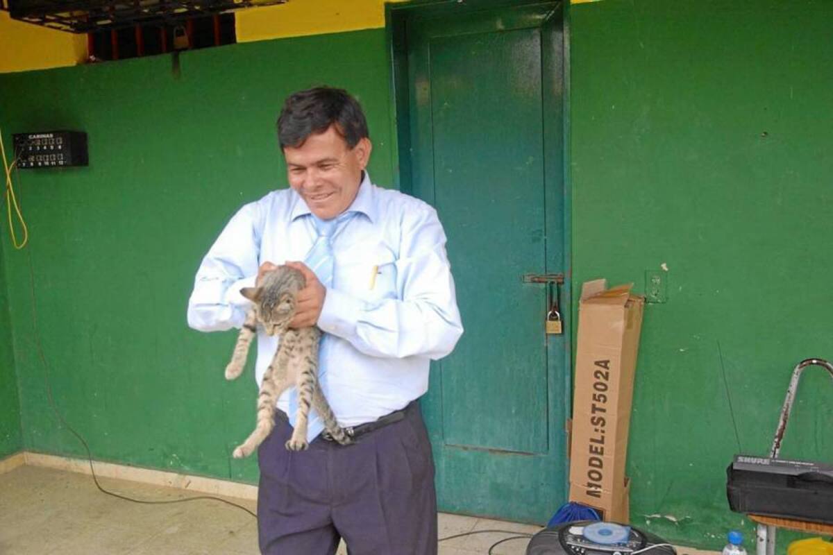 En plena zona de camerinos y antes del duelo entre búcaros y cartageneros, un pequeño gatico hizo de las suyas. (Foto: Jaime del Río / VANGUARDIA LIBERAL)
