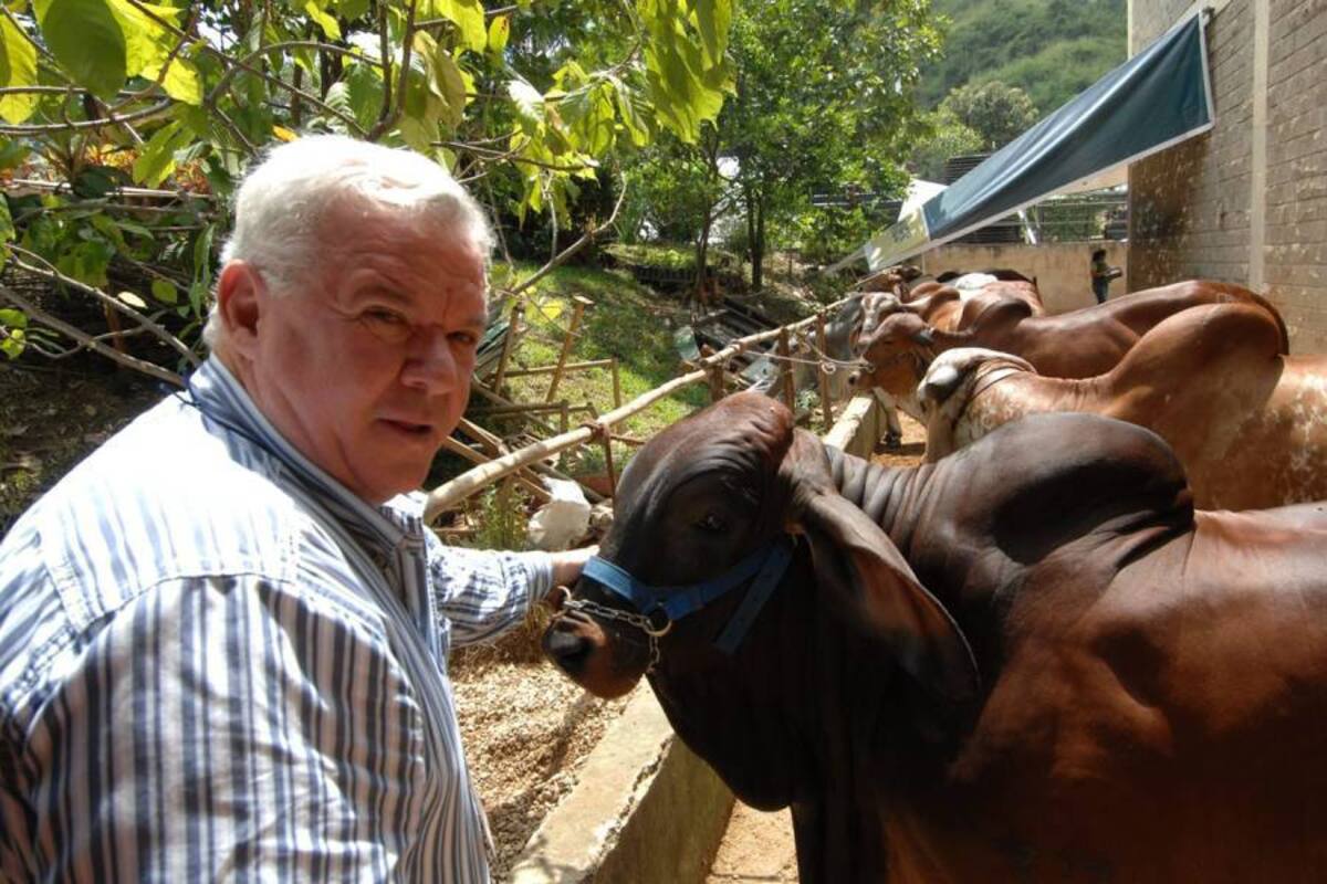 Pedro Vallarino Cox, directivo ganadero de Panamá estima que el mercado del brahman está en Colombia. (Foto: Jaime Del Río/VANGUARDIA LIBERAL)
