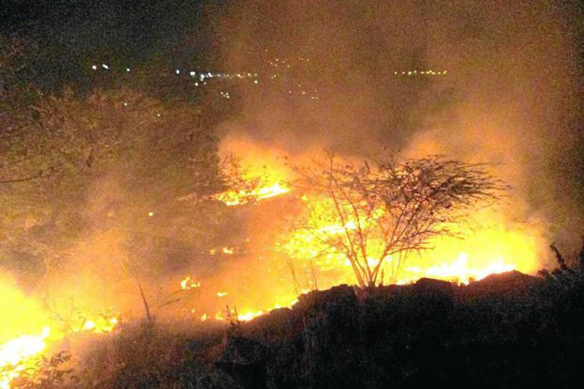 En 10 días, incendios consumieron 209 hectáreas en Colombia