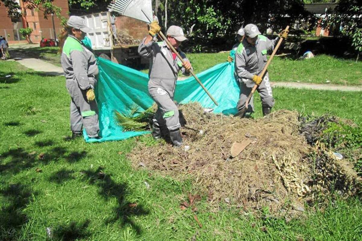 La PDS adelanta en diversos sectores de la ciudad labores de ornato y mantenimiento de zonas verdes. (Foto: Suministrada/VANGUARDIA LIBERAL)