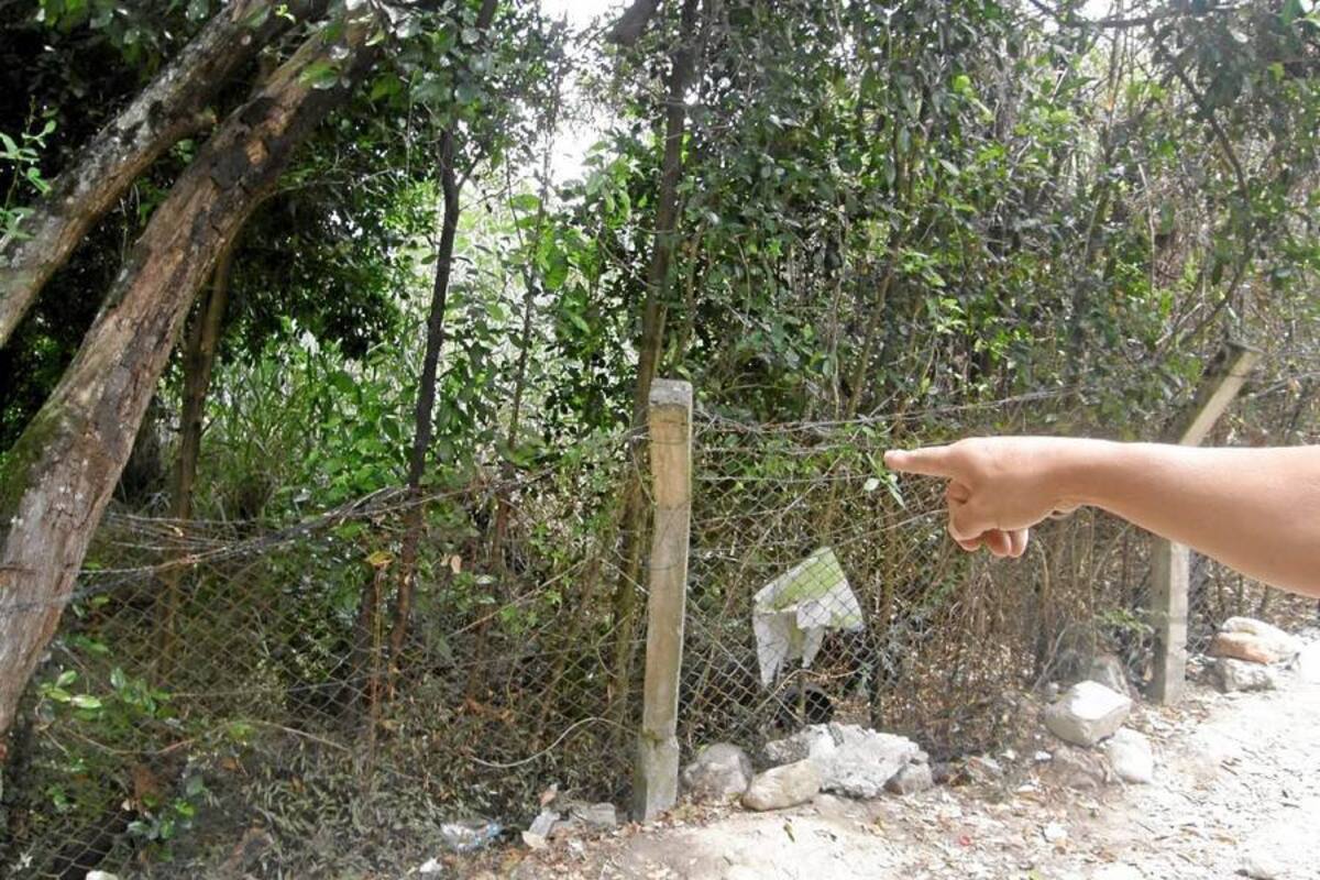 Villa del Río, cubierta de maleza e inseguridad