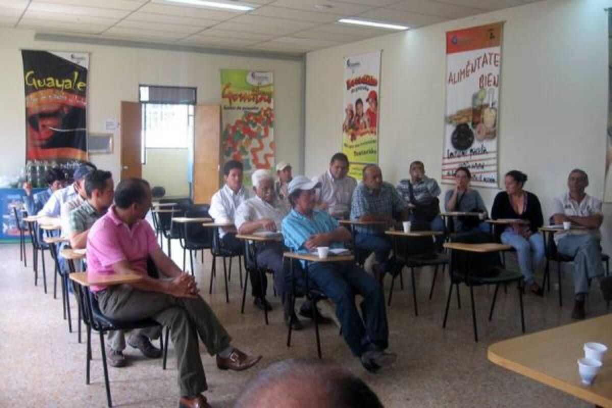 El pasado viernes 6 de mayo fue aprobado el programa "Fortalecimiento de la cadena productiva de la guayaba y su industria, mediante el mejoramiento tecnológico y desarrollo cultural y socio-económico del núcleo productivo de Boyacá y Santander. (Foto: Archivo / VANGUARDIA LIBERAL)