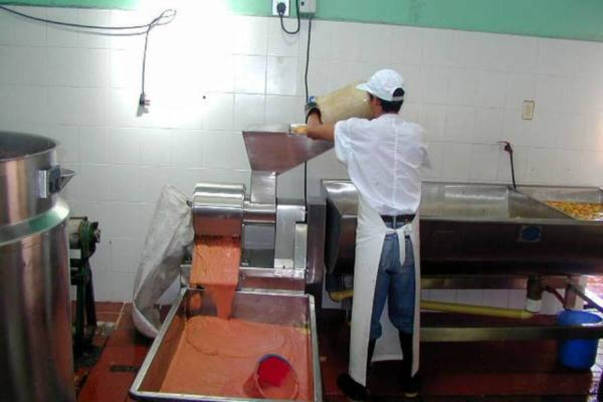 Los comerciantes de bocadillo seguirán trabajando con el fin de seguir exportando el producto a los países europeos.(Foto: Suministrada /VANGUARDIA LIBERAL)