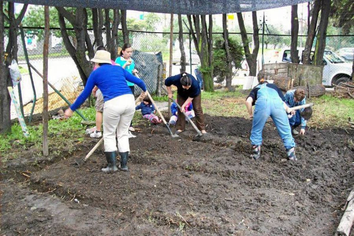 Las madres campesinas retomaran las huertas de las abuelas para generar recursos con los cultivos auto-sostenibles de productos orgánicos. (Foto: Archivo /VANGUARDIA LIBERAL)