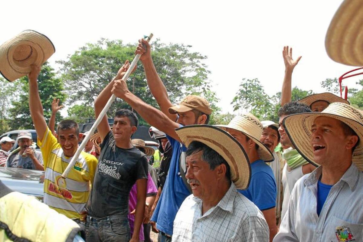 Los cacaoteros estarían dispuestos a salir nuevamente a paro si en el plazo acordado no se legaliza la ejecución de los recursos para adición a subsidios por comercialización. (Foto: Archivo/VANGUARDIA LIBERAL)