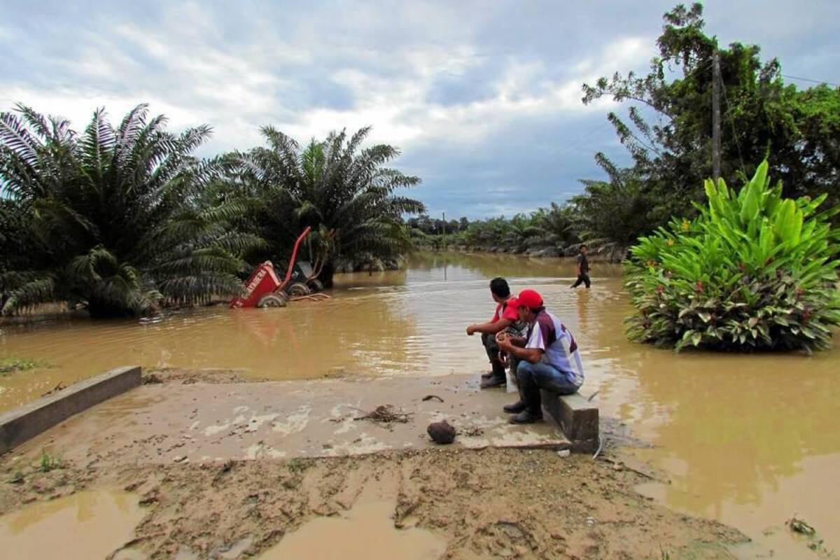 El nivel del río no desciende, por el contrario la alerta por la llegada de crecientes del interior del país está vigente. (Foto: Edgar Pernett/VANGUARDIA LIBERAL)